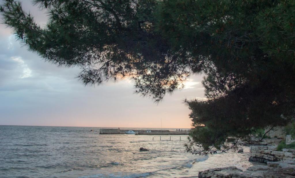 Apartments Villa Stapo Umag Dış mekan fotoğraf