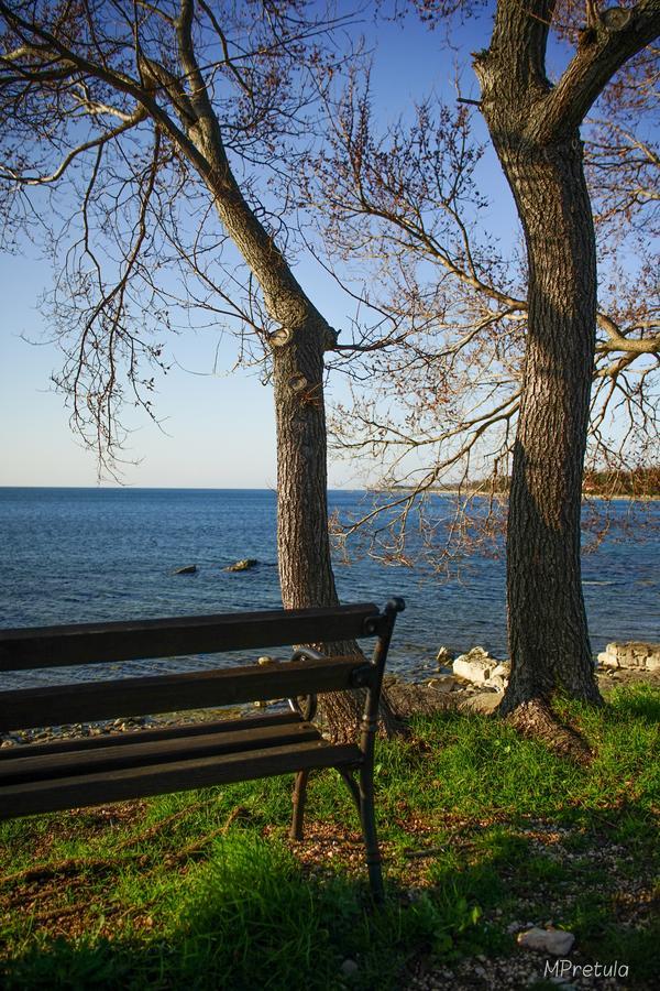 Apartments Villa Stapo Umag Dış mekan fotoğraf